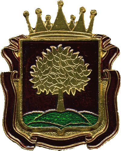 значок с изображением герба Липецкой области